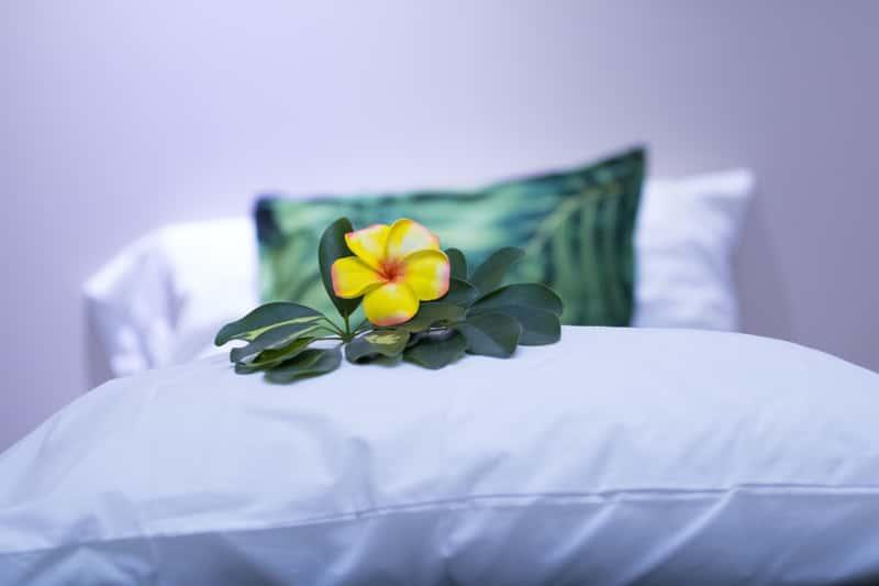 Apia Central Hotel Samoa Exterior photo